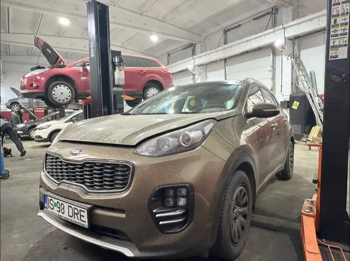 Service kia auto iasi